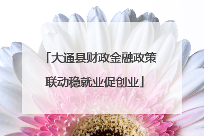 大通县财政金融政策联动稳就业促创业